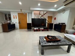 A Treasure Trove (D19), Condominium #515004891